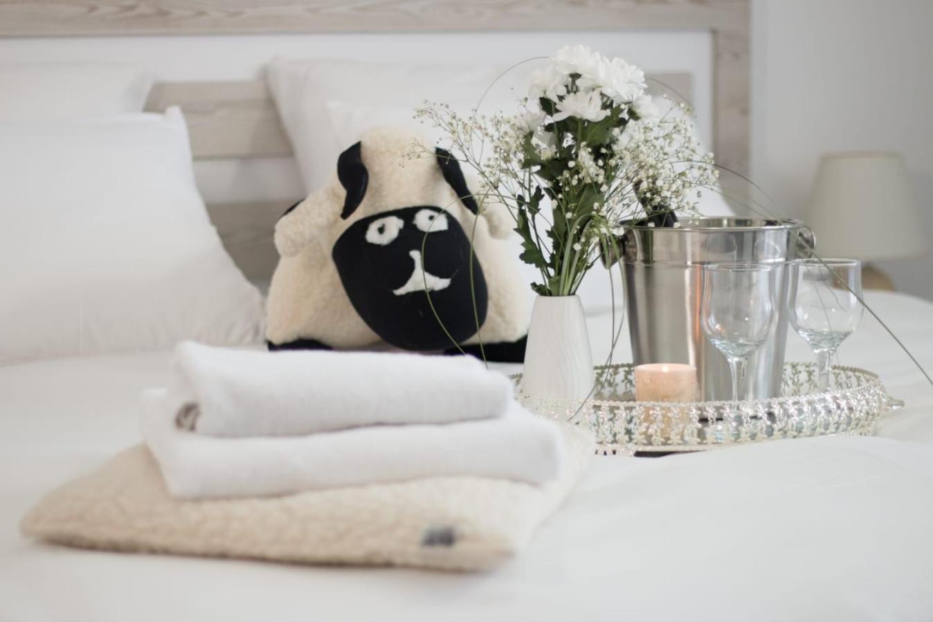 Aparthotel "Queen Zina" Vlasic Bagian luar foto